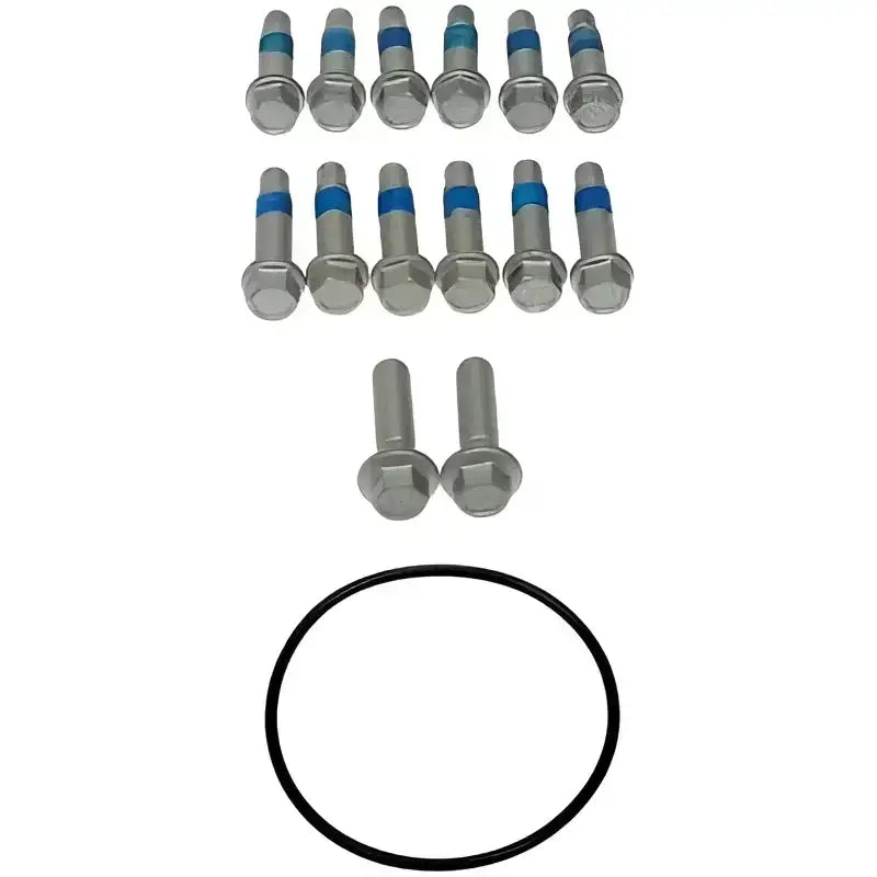 Black o-ring and bolts for Dorman hub rotor and caliper bracket assembly