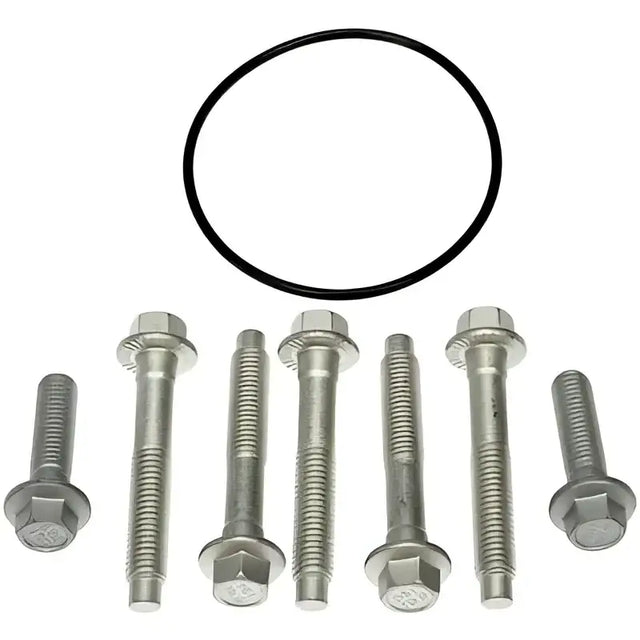 Bolts and black o-ring for Dorman hub rotor and caliper bracket bolt repair