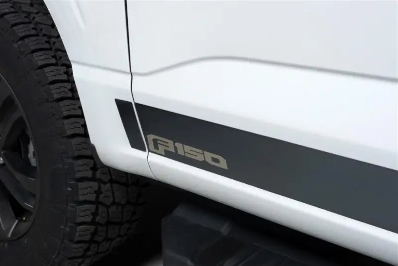 9751469BPFD Putco Ford Lic. Ss Rocker Panels Fits; 20