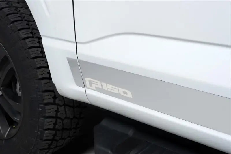 9751470FD Putco Ford Lic. Ss Rocker Panels Fits; 20