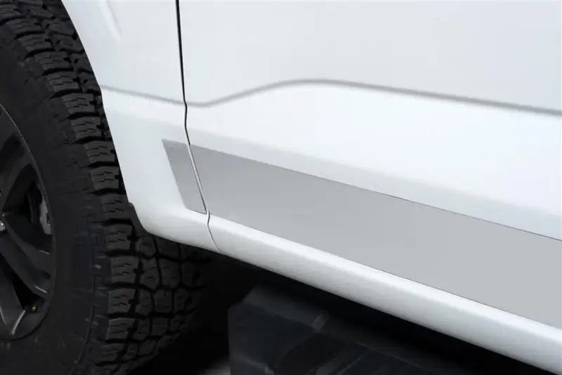 9751472 Putco Stainless Rocker Panels Fits; 2021