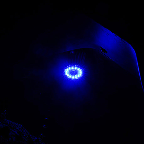 KC HiLiTES Cyclone V2 LED - Replacement Lens - Blue - 6-PK - 4414