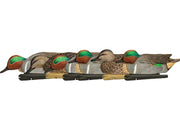 Avian-X AVX8081 - Teal