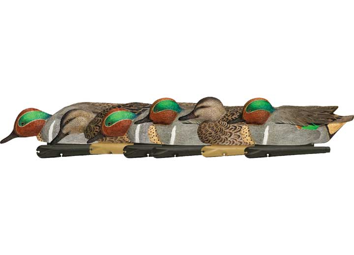 Avian-X AVX8081 - Teal