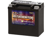 Deka Batteries AUX14