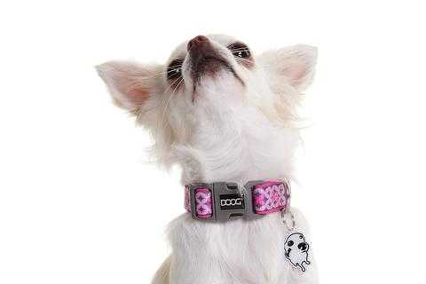 COLPBS-M Pet Collar