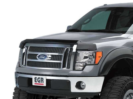 EGR 308261