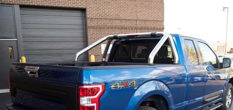 EGR EGR 15-20 Ford F-150 S-Series Polished Stainless Sports Bar