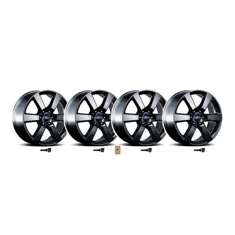 Ford Racing M-1007K-P20XB