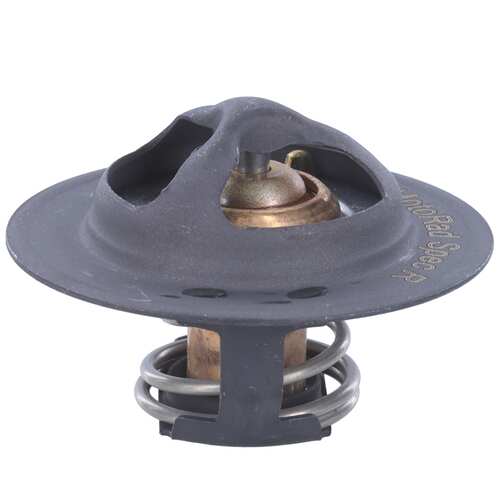 Motor RAD AM MRD100 Thermostat