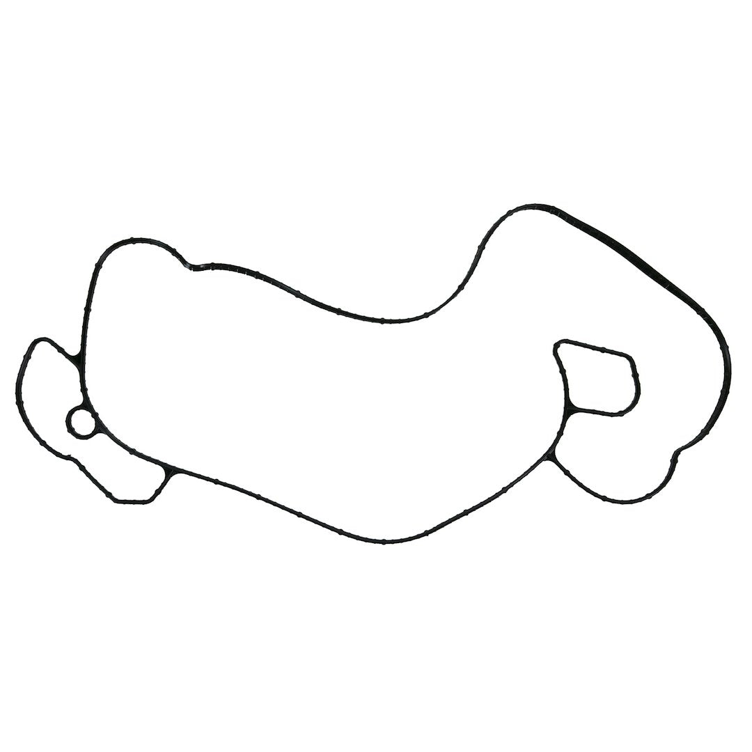 Felpro 36020 - Water Pump Gasket