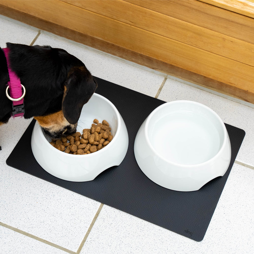 Silwy Magnet FN-P-3 Pet Dish
