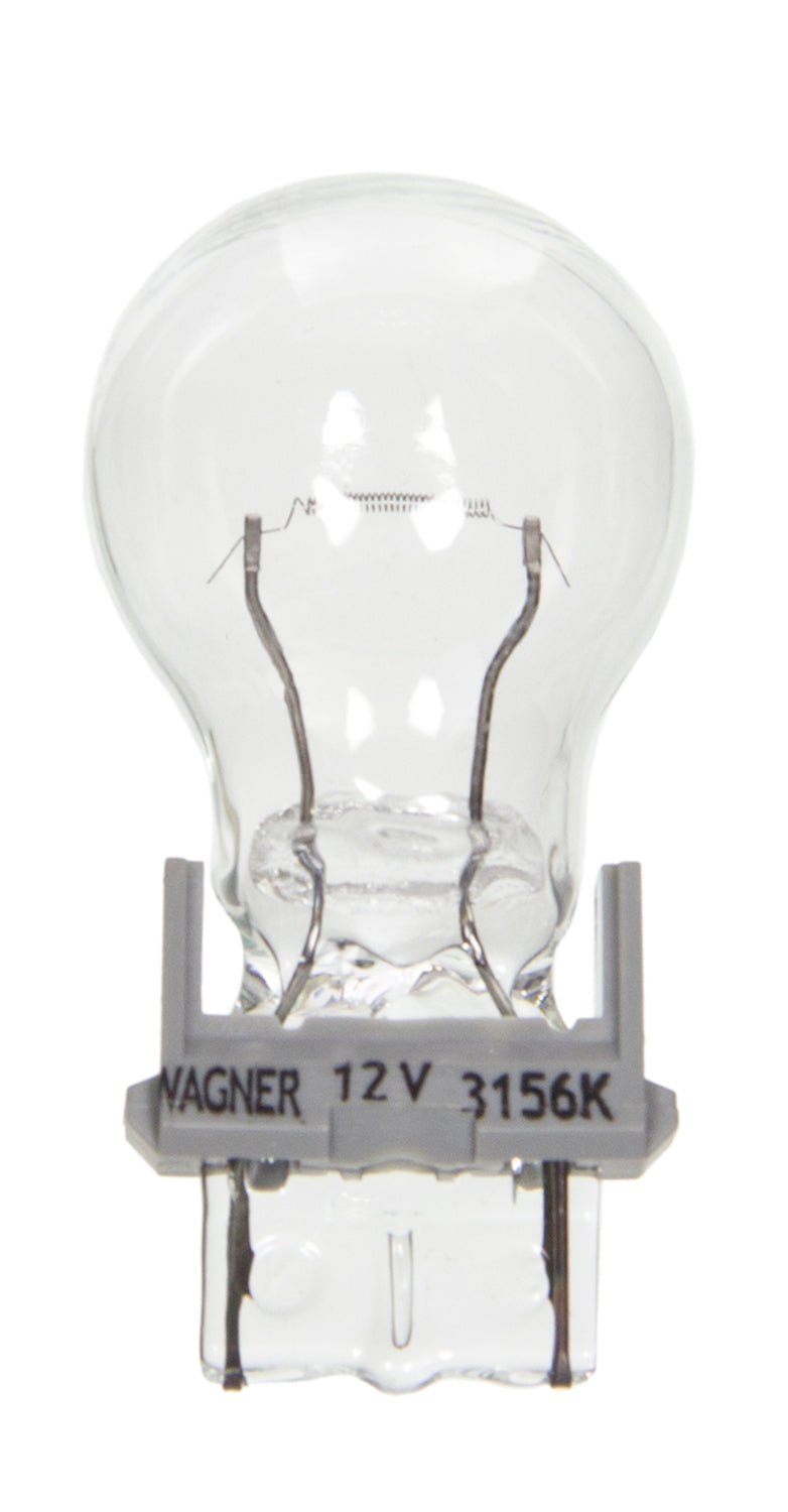 Wagner SAE Compliant Backup Light Bulb BP3156LL - Miniature Long Life