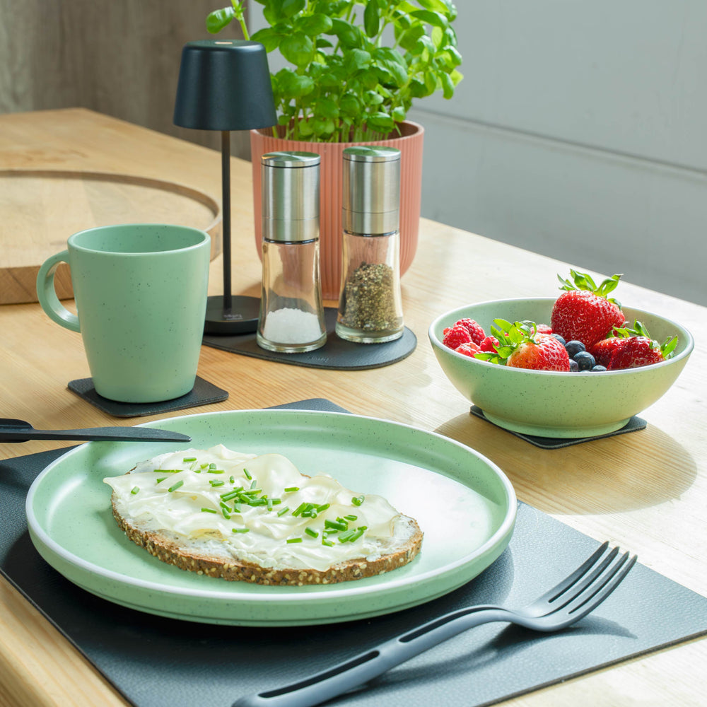 Silwy Magnet SYBR-KGS-11-G Dish Set - Green
