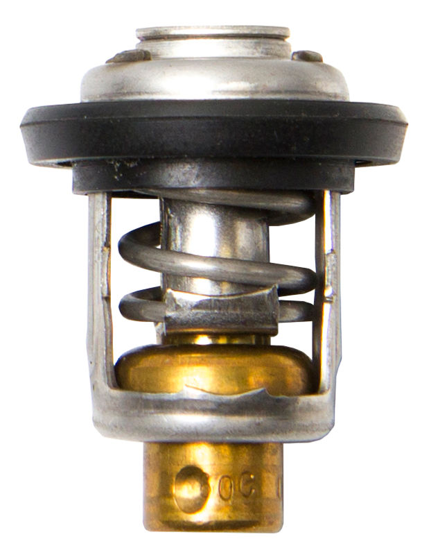 Sierramarine 18-3541
