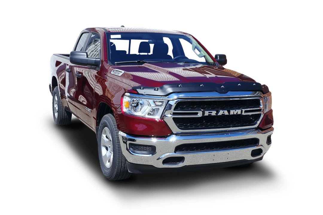 Focus Auto TS6R19 Bug Shield - Small
