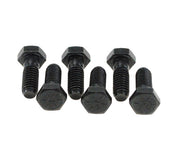 RAM 491 - Pressure Plate Bolt Set