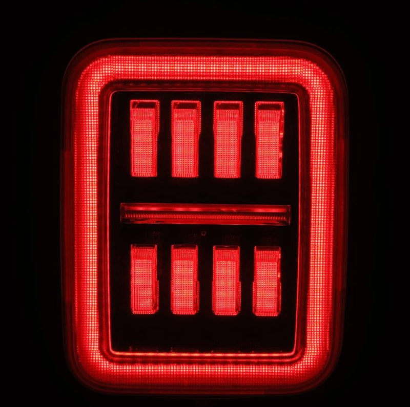 Alpharex USA 602070 Tail Light Assembly