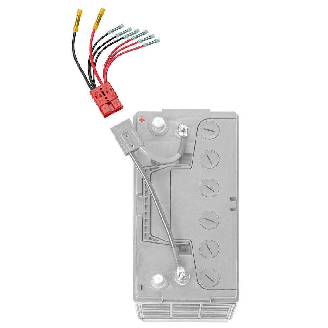 Connect Ease Corrosion Resistant Components Battery Connection Harness RCE12VB4 - Multi Lead Accessory CO