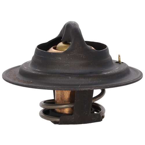 Motor RAD AM MRD101 Thermostat