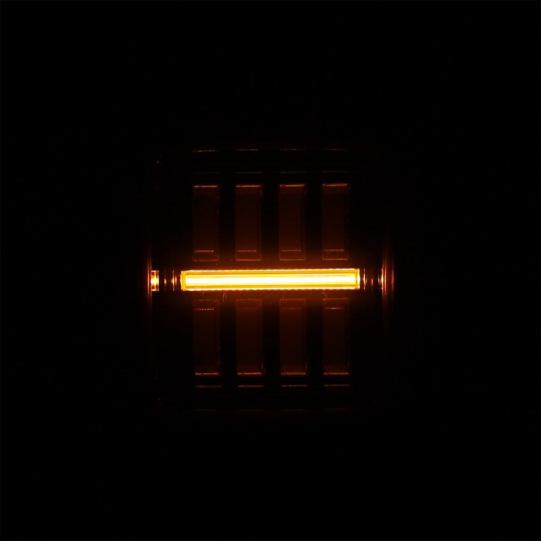 Alpharex USA 602010 Tail Light Assembly