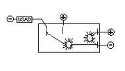 Sierramarine RK19020 Multi Purpose Switch