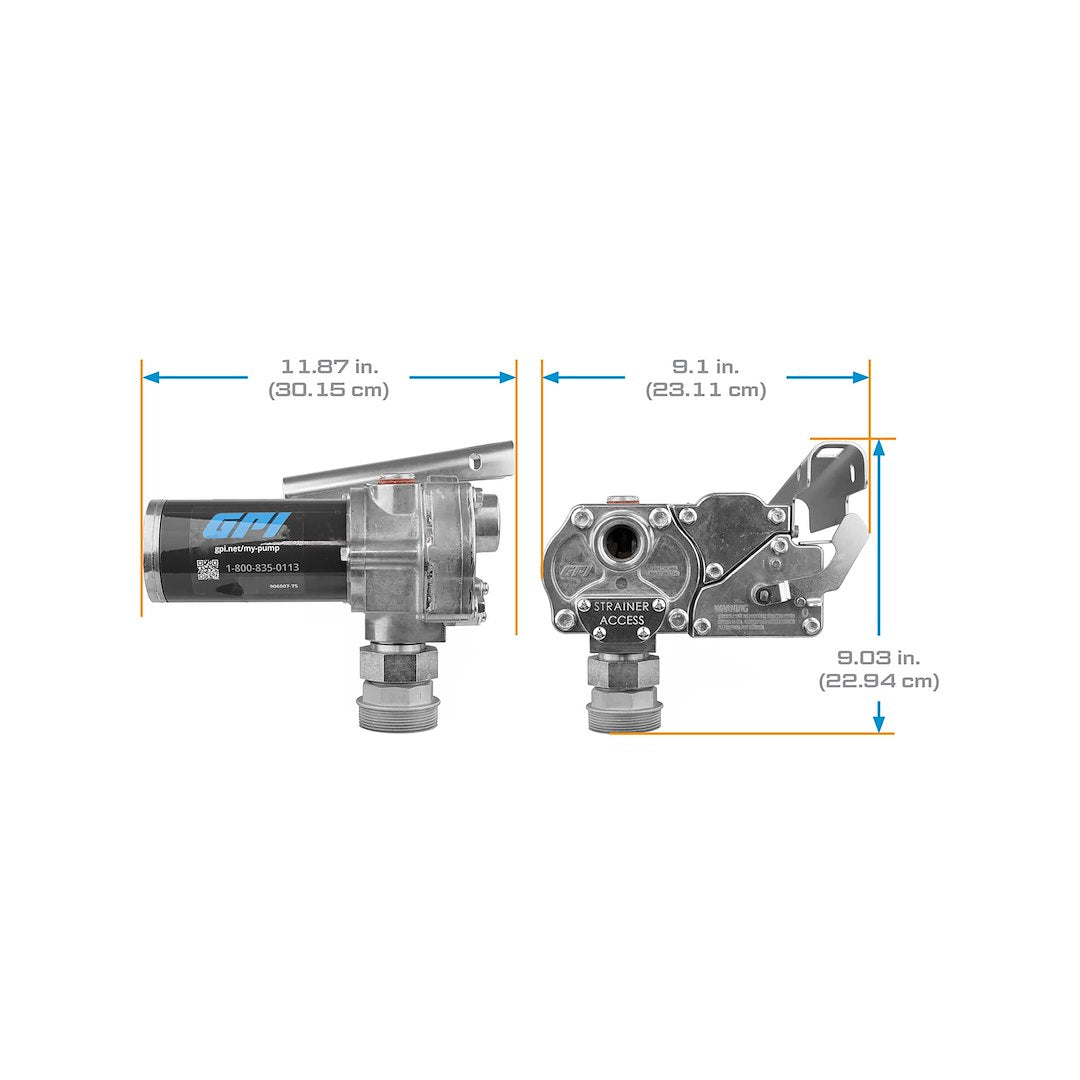 GPI 110300-2 Liquid Transfer Tank Pump
