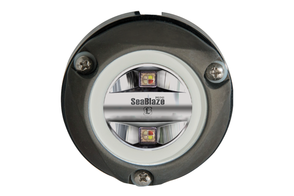 Lumitec Cost-Effective Solution Boat Underwater Light 101833 - Zambezi Mini Pontoon Pli Spectru