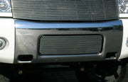 T-REX 25780 Classic Design - Bmper GR Insert 16 Bars