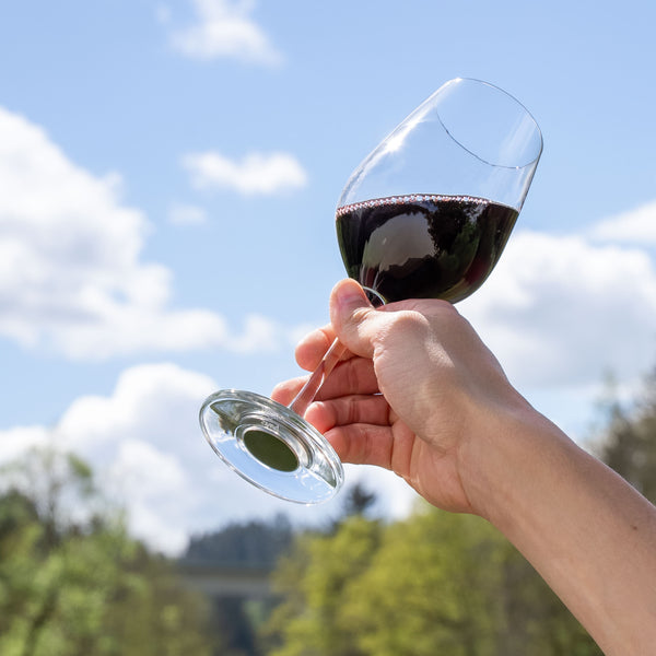 Silwy Magnet S025-1301-2 Drinking Glass