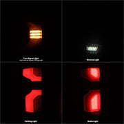 Alpharex USA 620068 Tail Light Assembly
