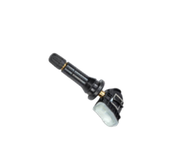 Schrader 29146