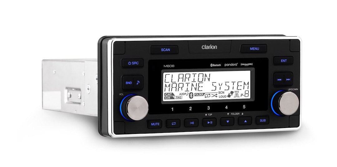 Clarion Dual Auxiliary Audio RCA Inputs Radio 010-03194-00 - Digital Media Receiver