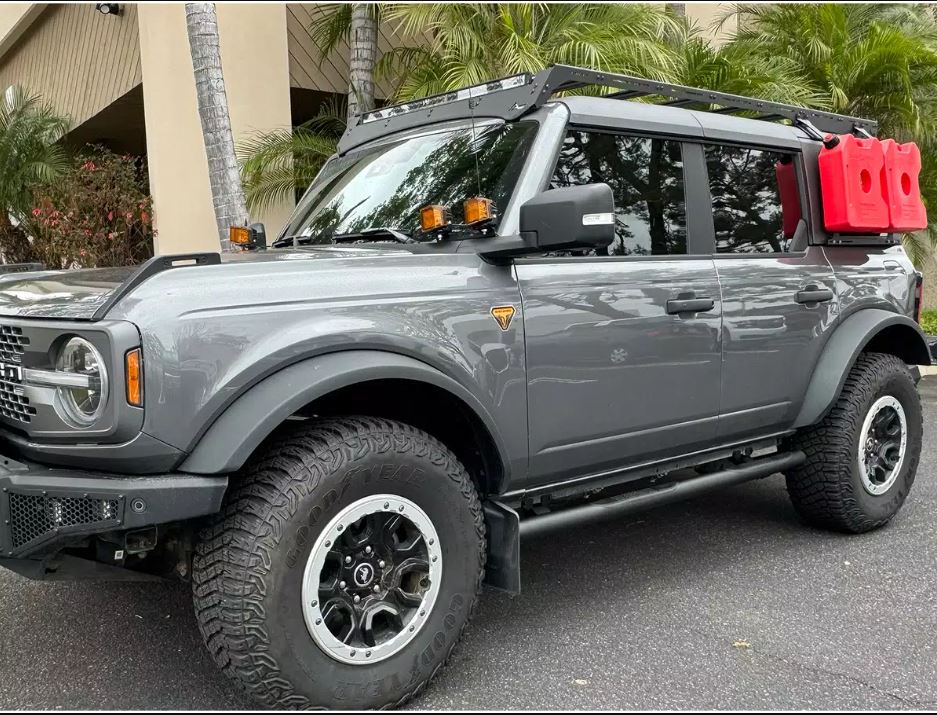GO Rhino 4129T Nerf Bar