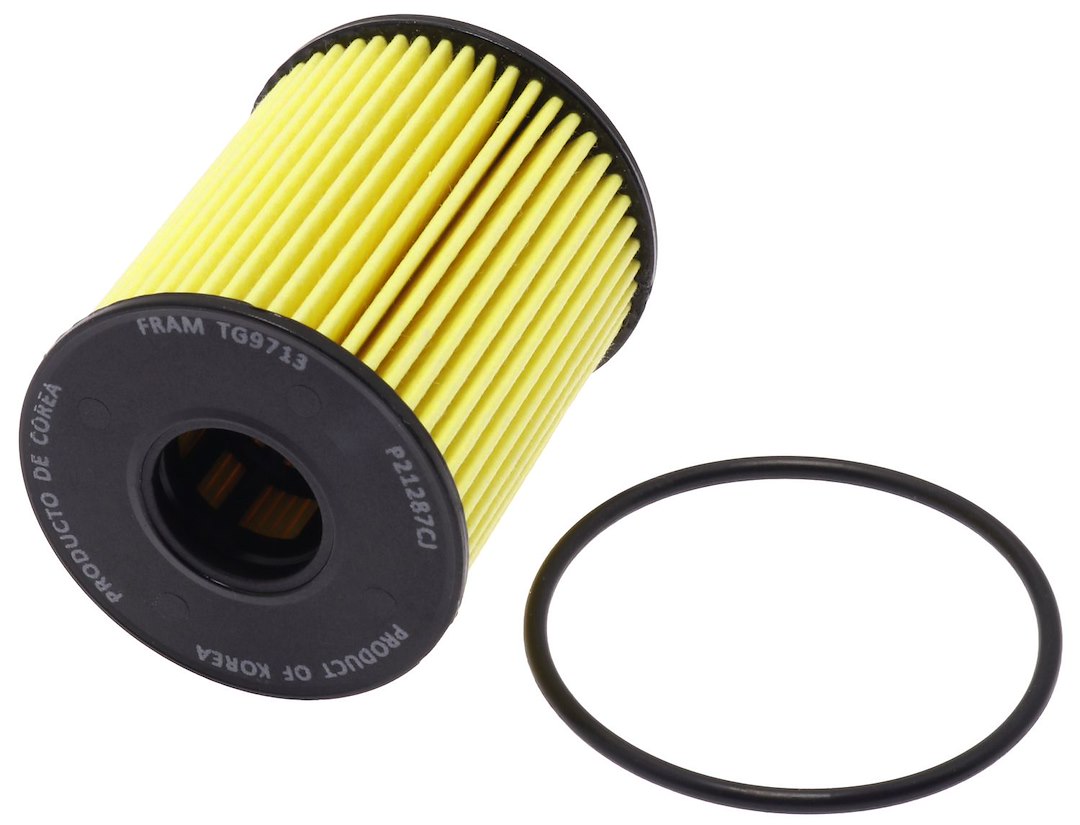 Fram FTG9713 Oil Filter