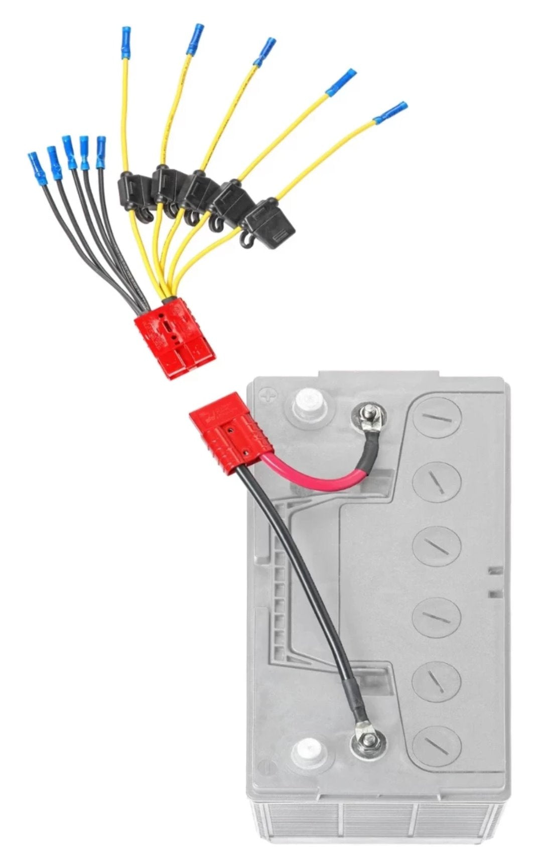 Connect Ease Made In USA Battery Connection Harness CE12VB5FK - Multi Fused Lead Acces