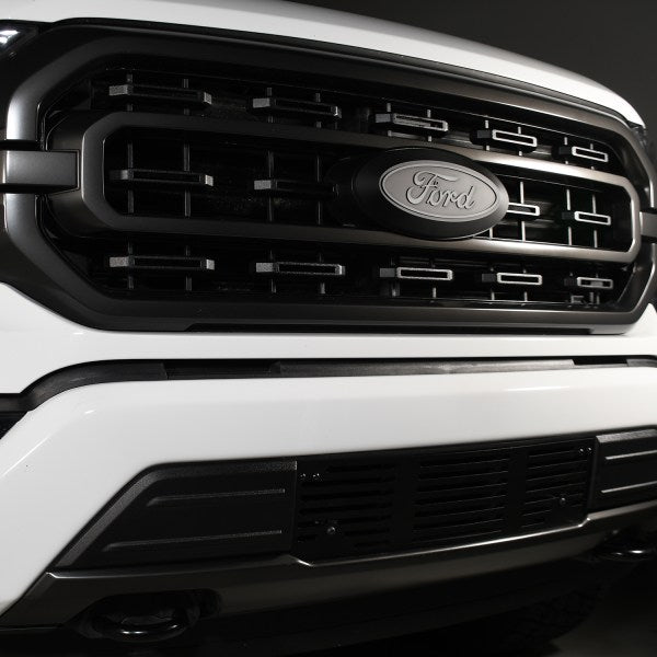 Putco Made In USA Bumper Grille Insert 88172 - Ford Super Duty Punch Design BL