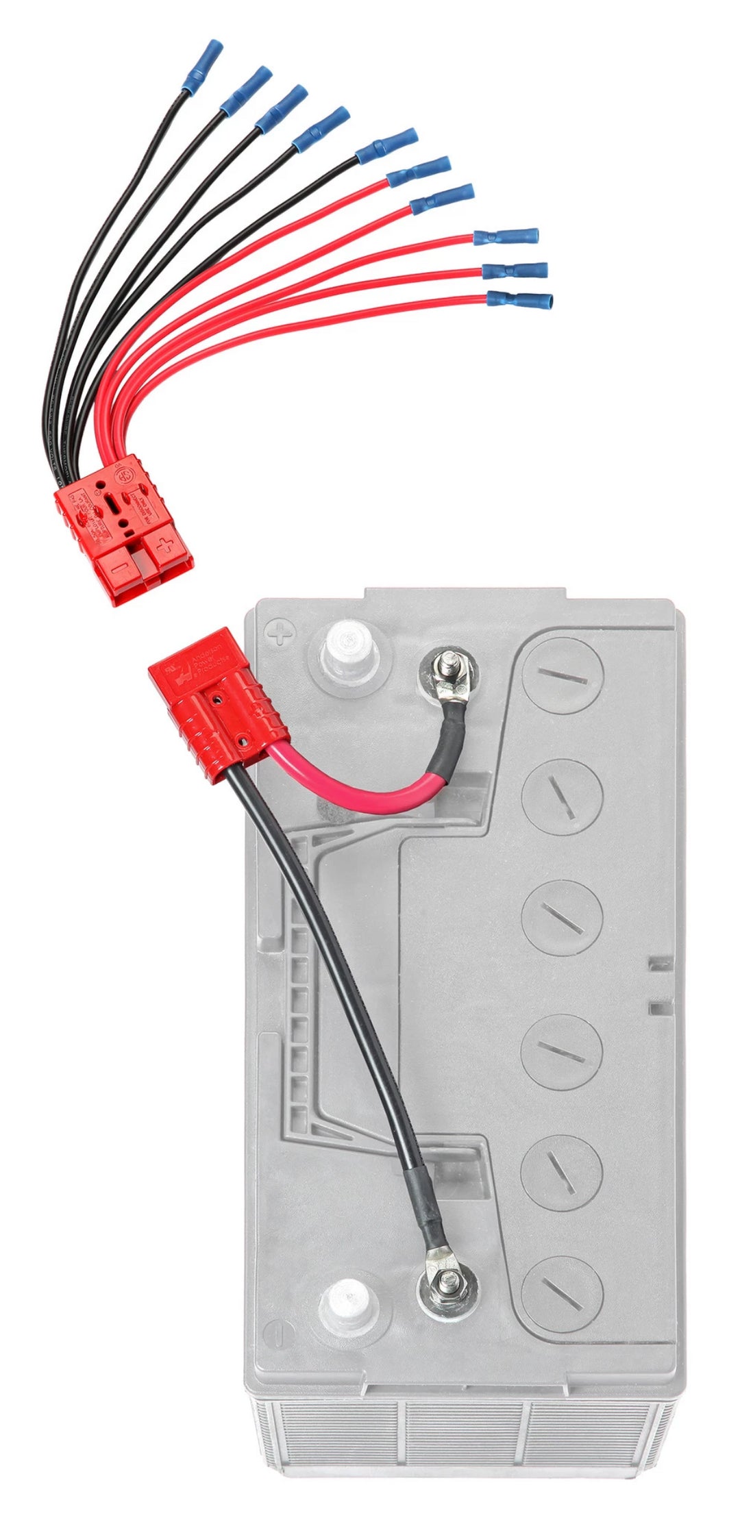 Connect Ease Made In USA Battery Connection Harness CE12VB5K - Multi Lead Accessory CO