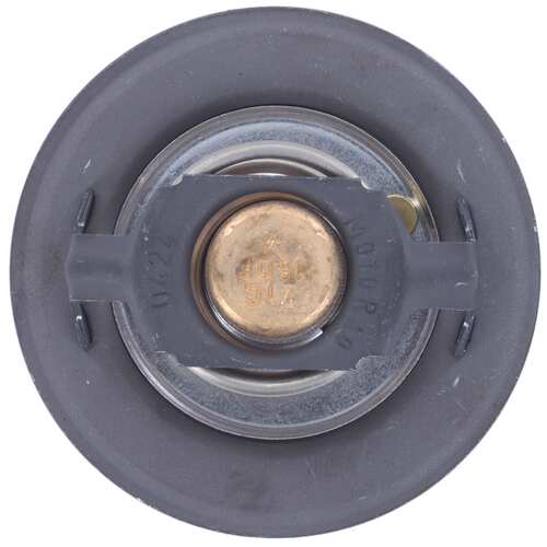 Motor RAD AM MRD100 Thermostat