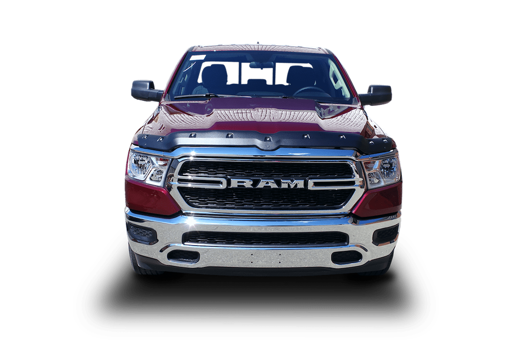 Focus Auto TS6R19 Bug Shield - Small