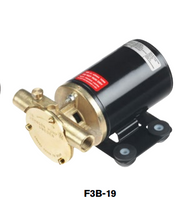 Johnson Pump 10-24760-03 Light and compact oil change pump - F3B-19 12V Npt