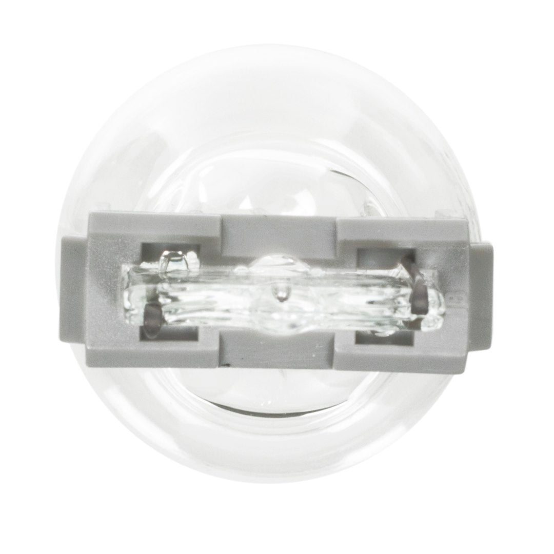 Wagner SAE Compliant Backup Light Bulb BP3156LL - Miniature Long Life