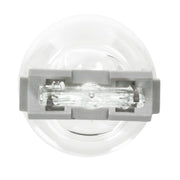 Wagner SAE Compliant Backup Light Bulb BP3156LL - Miniature Long Life