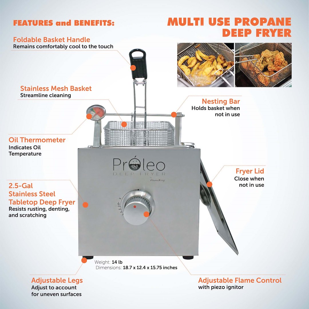 Flame King Proleo Fryer