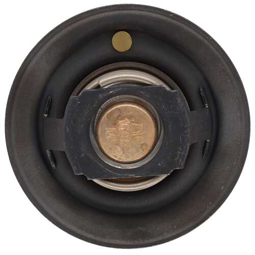 Motor RAD AM MRD101 Thermostat