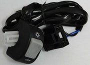 Helix Racing 787-7707 Offer exact oem style replacement - Universal Headlight Switch