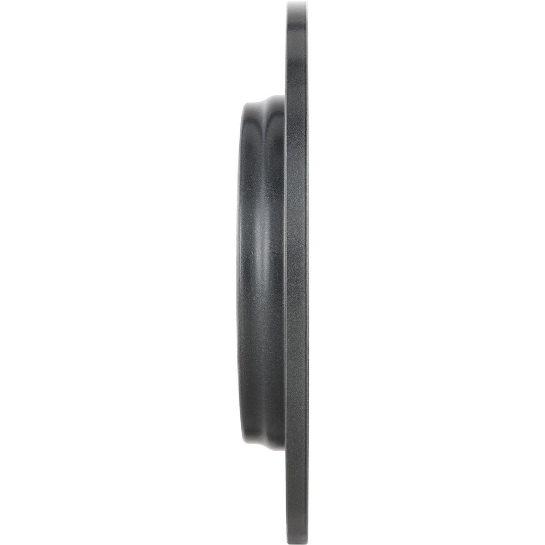 Brembo Rust-Resistant Coating Brake Rotor 08D44511C02 - Disc