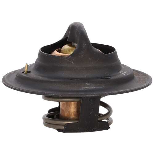 Motor RAD AM MRD101 Thermostat