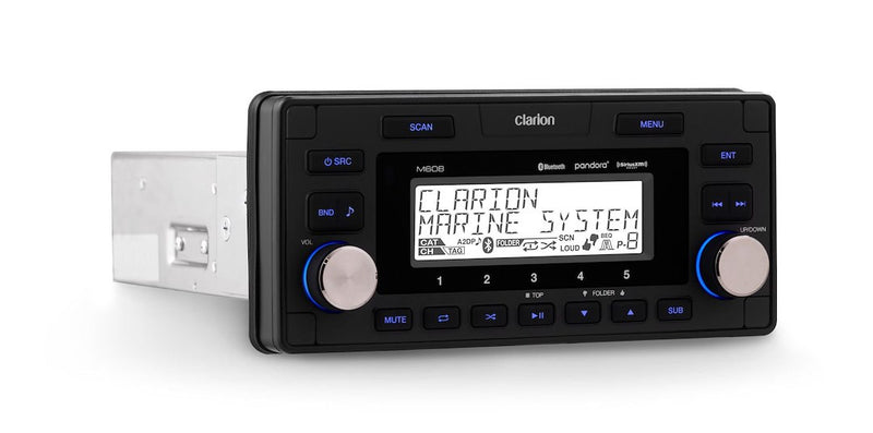 Clarion Dual Auxiliary Audio RCA Inputs Radio 010-03194-00 - Digital Media Receiver