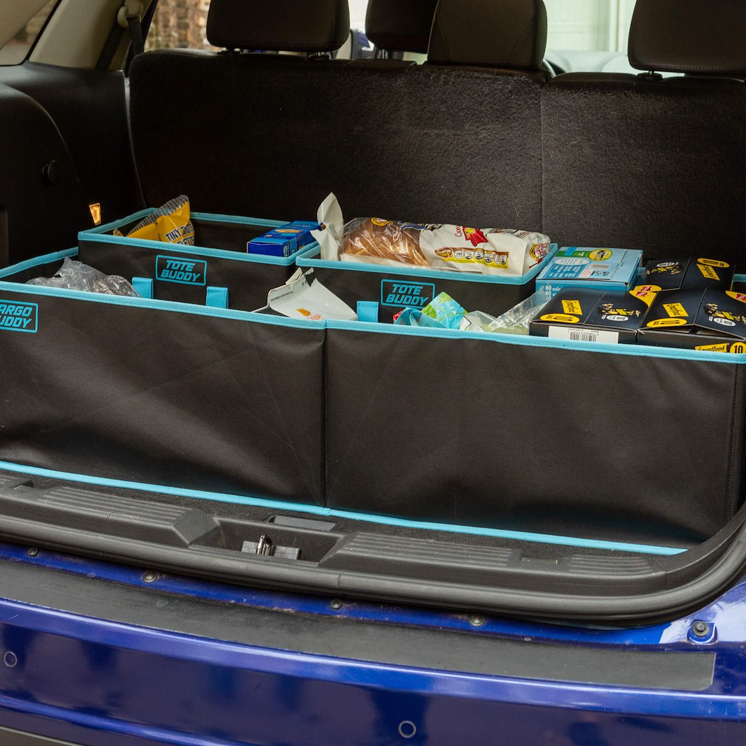 Tonneau Budd Easy To Use Cargo Organizer TTBMS - Collapsible Tote